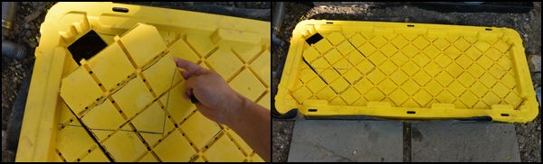 Тропический душ - фото 13