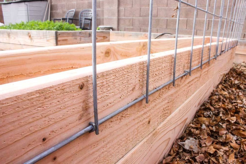 Высокая грядка для огурцов - фото 4