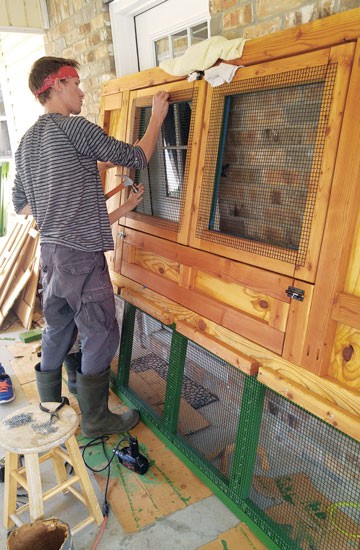 Идея для курятника - фото 3