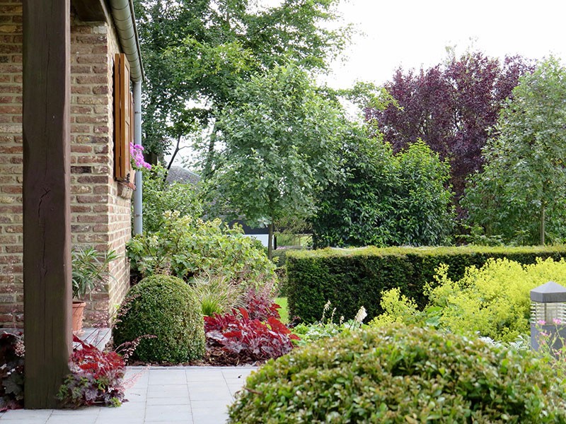 Естественный пруд - фото 14