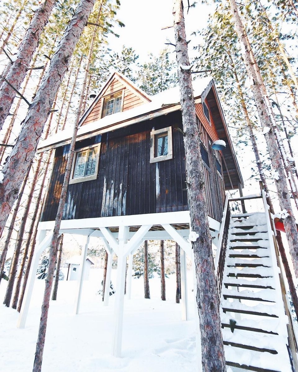 Дом на дереве - фото 15