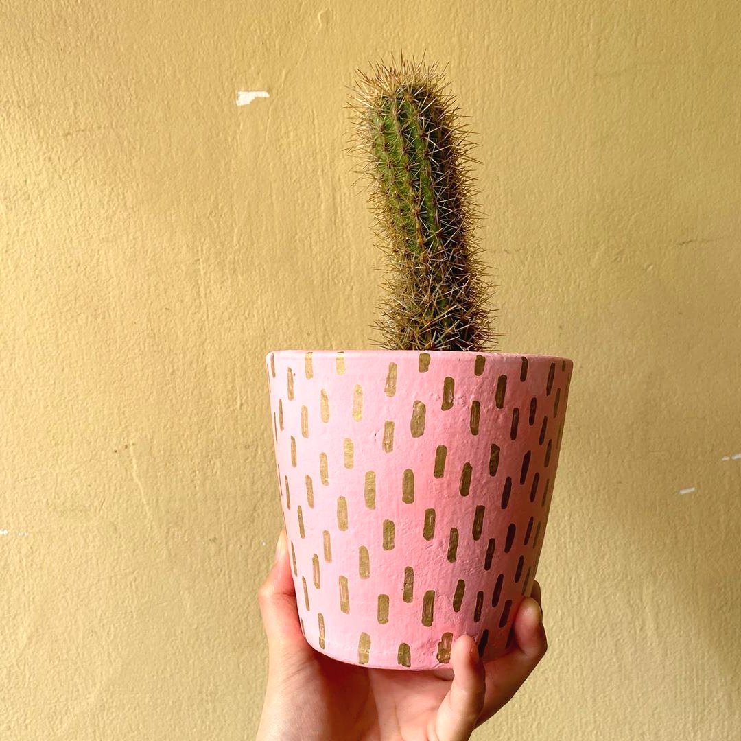 Маленькая идея для большого цветочного сада - фото 12