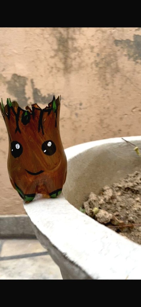 Что можно сделать из пластиковых бутылок? - фото 3