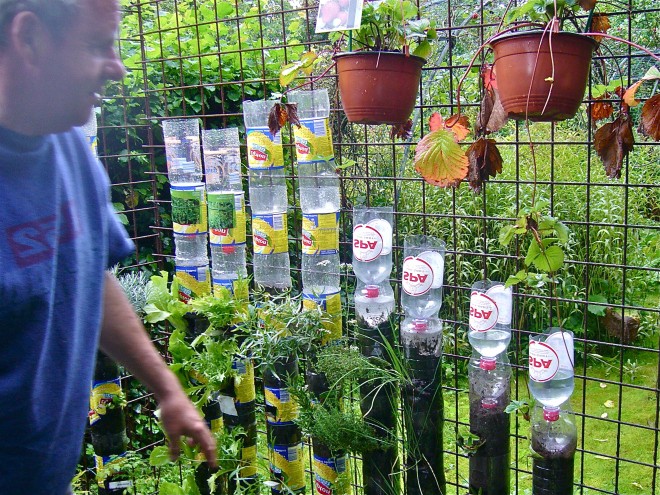 Вертикальный сад из пластиковых бутылок - фото