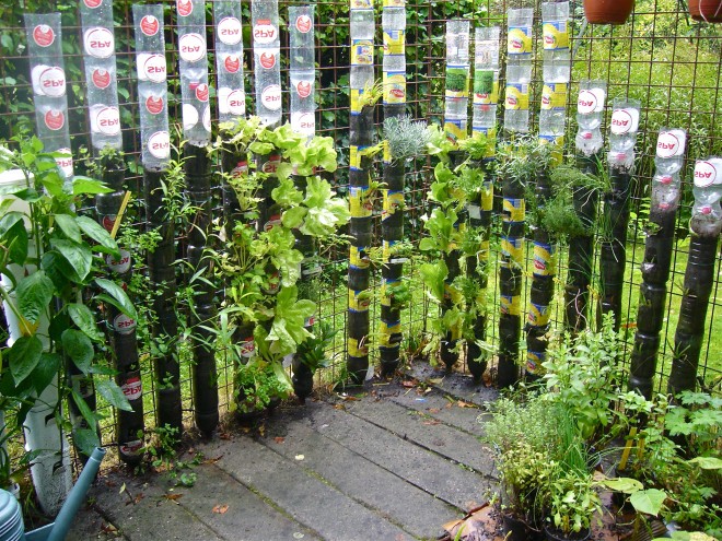 Вертикальный сад из пластиковых бутылок - фото 14