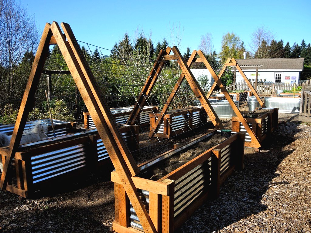 Грядки для огурцов и фасоли - фото 2