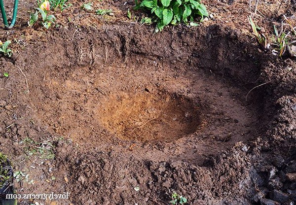 Небольшой пруд - фото 2