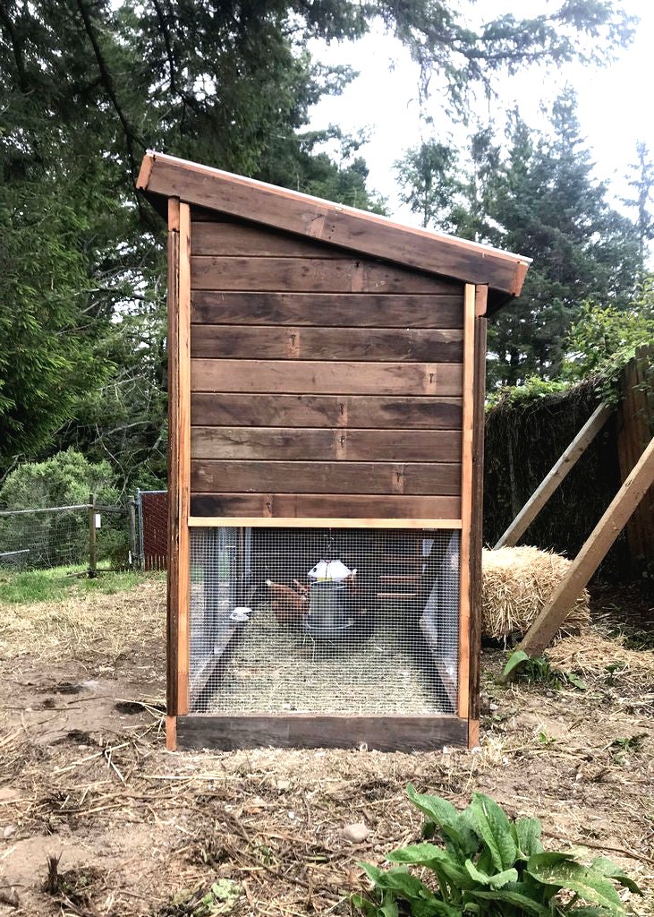 Небольшой летний курятник или домик для 5 – 10 кур - фото 7