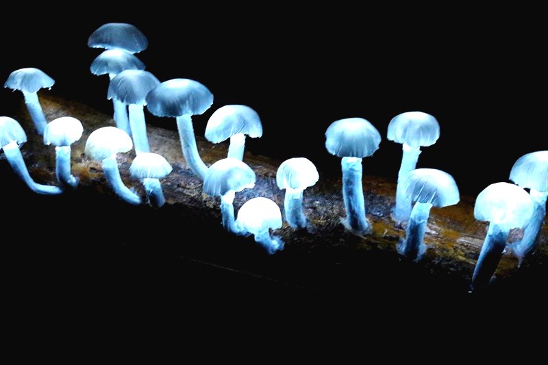 Необычная ночная лампа - фото 7