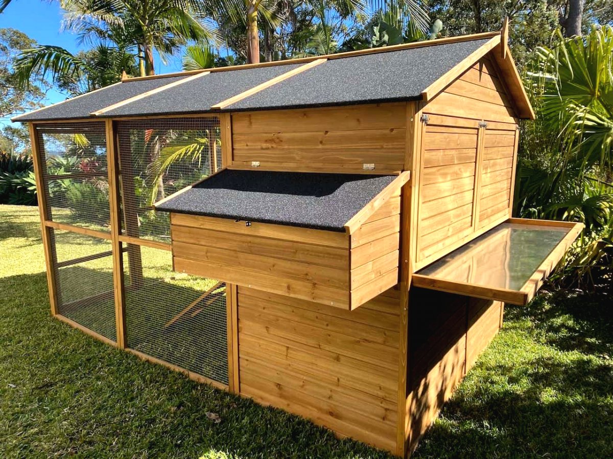 Курятник своими руками на 10 кур с выгулом - фото 14