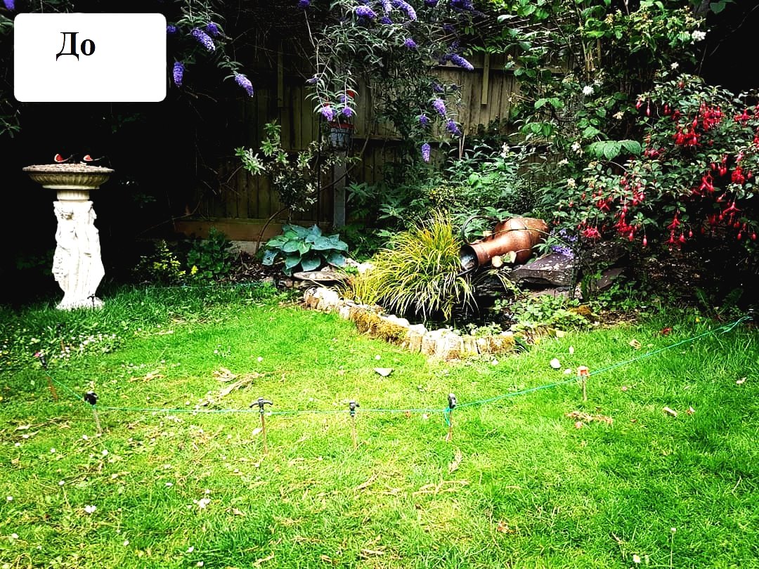 Пруд на даче - фото 2