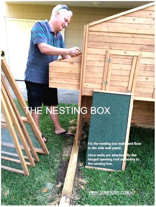 Курятник своими руками на 10 кур с выгулом - фото 6