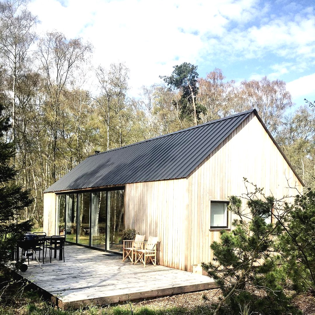 Просторный дом для скандинавского климата - фото 2