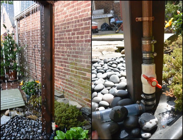 Тропический душ - фото 16