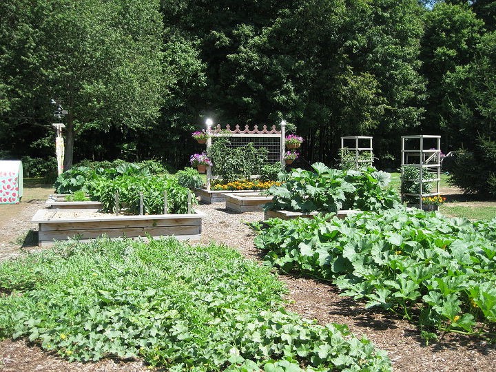 Планируем грядки - фото 2