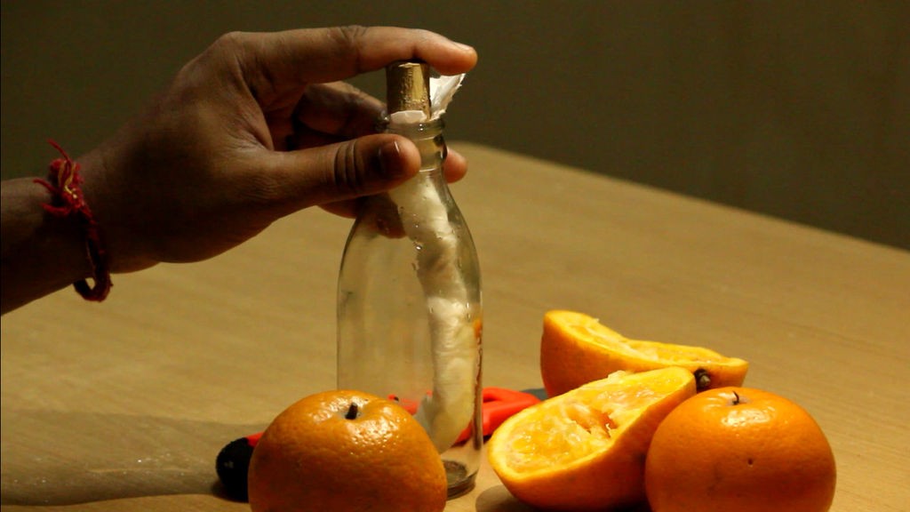 Как вырастить апельсиновое дерево из семян - фото 11