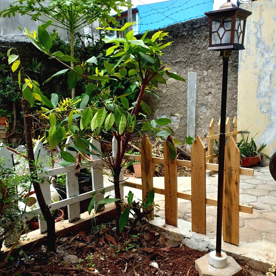 Оригинальная садовая дорожка - фото 4