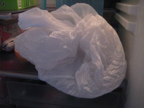 Выращиваем яблоню из семечки - фото 5