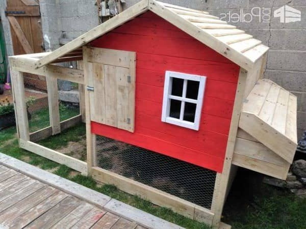 Курятник - фото 2