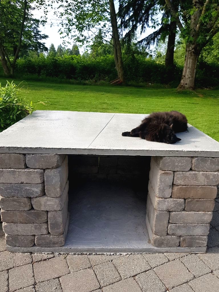 Печь для пиццы - фото 12