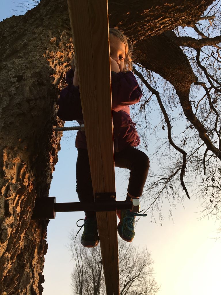 Крутой дом на дереве - фото 2