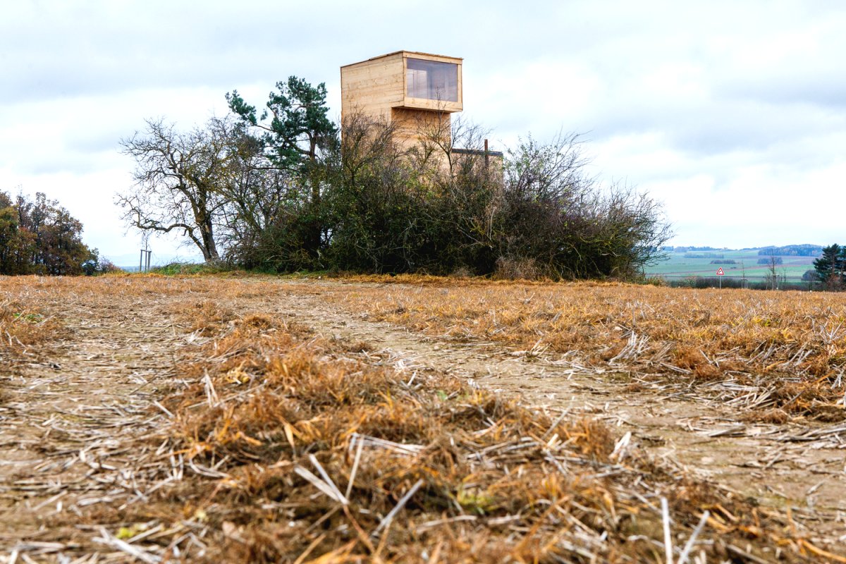 Небольшой летний дом в 12,5 м² - фото 8