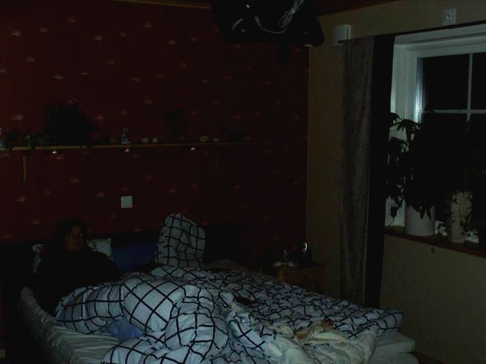 Каркасный деревянный дом - фото 15