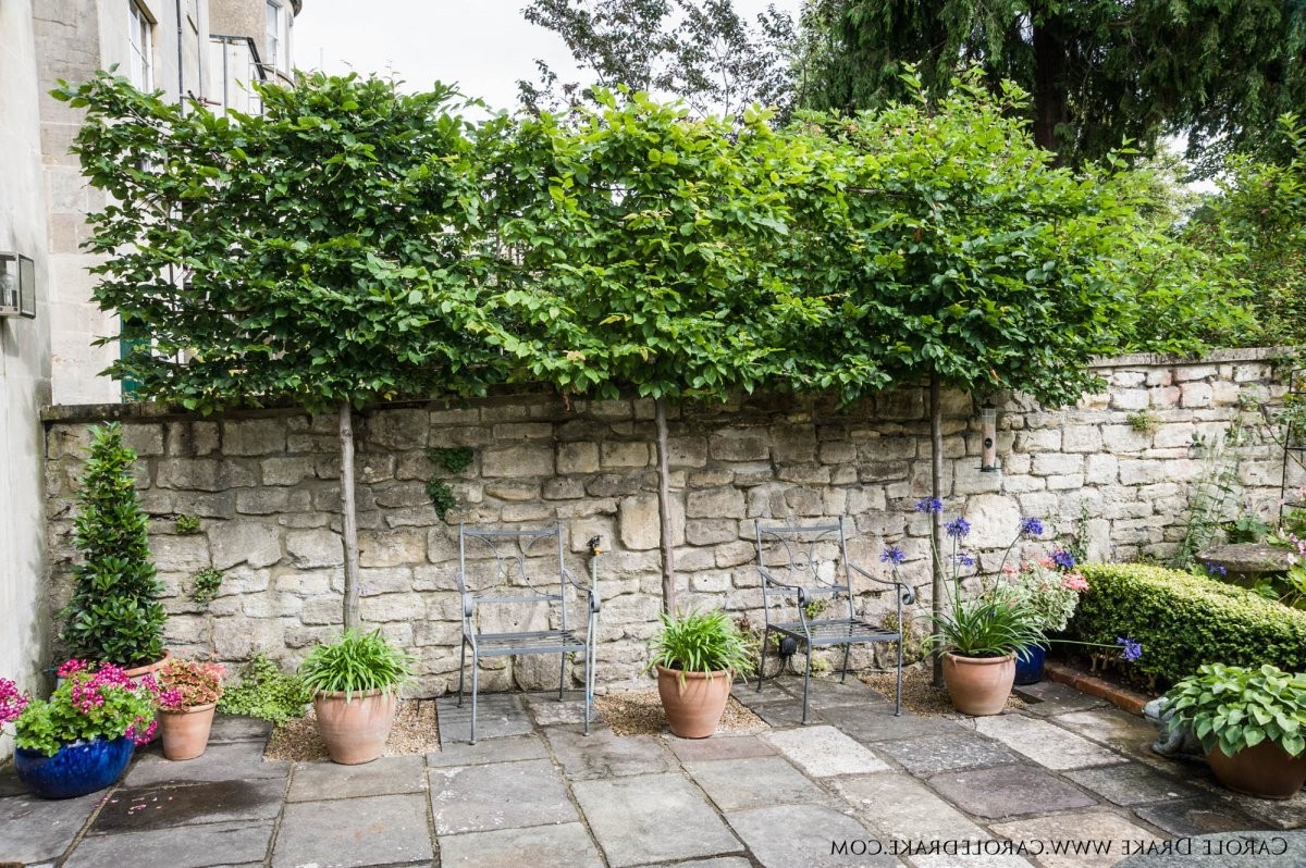 Сад с фонтаном - фото 3