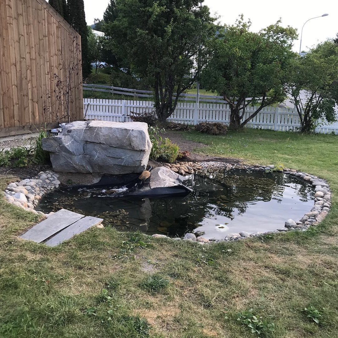 Пруд - фото 7