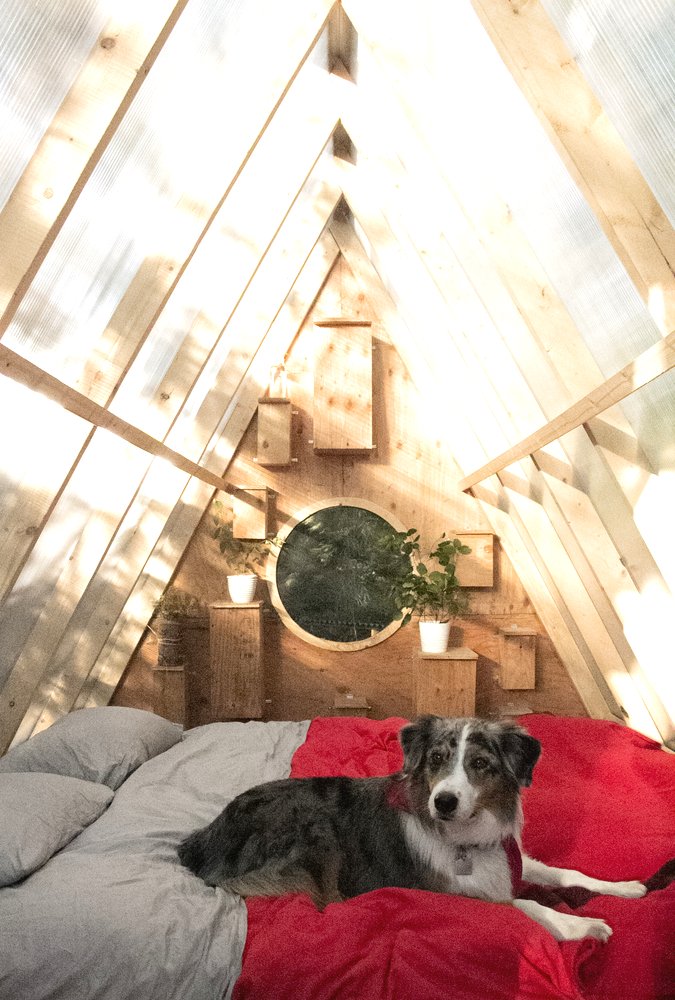 Необычный лесной домик - фото 5