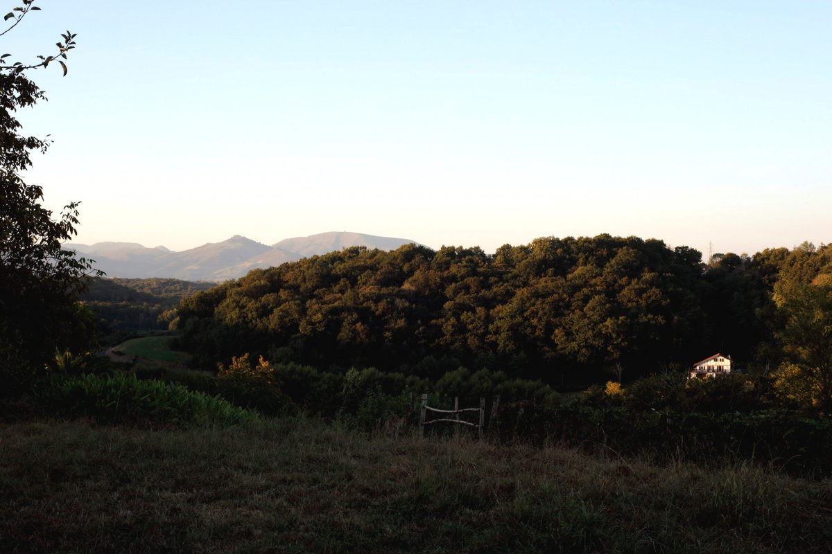 Небольшой одноэтажный дом в 22 кв м из дерева - фото 15