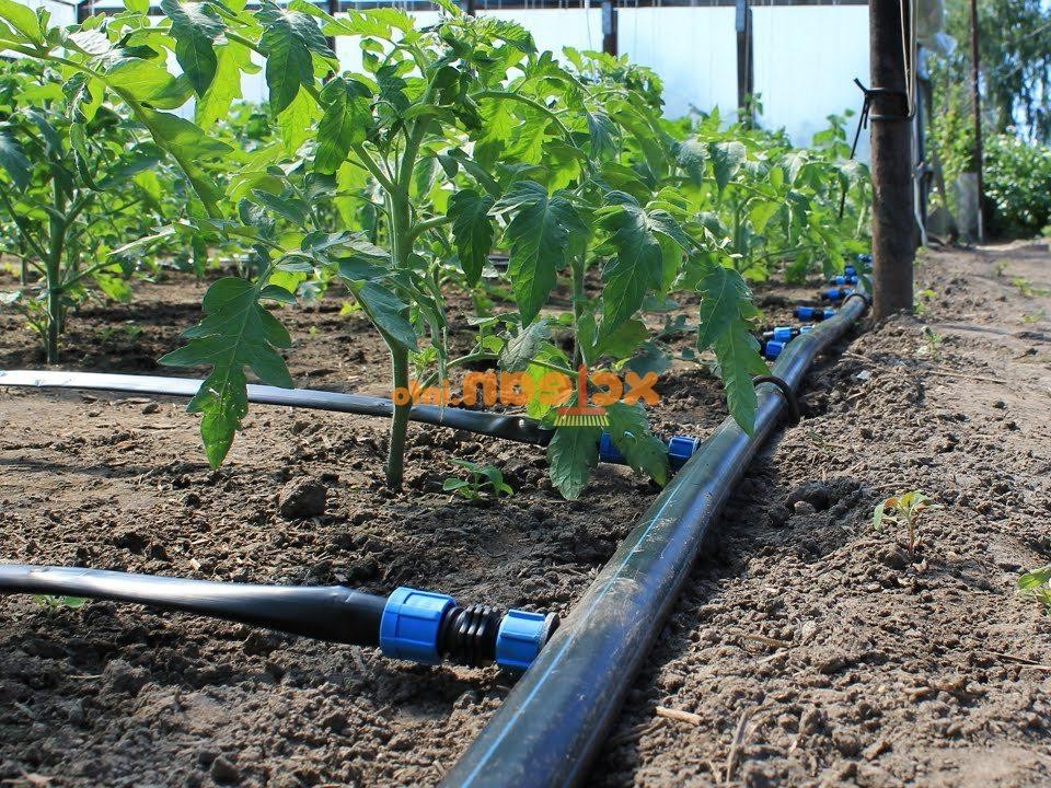 Капельный полив - фото 2