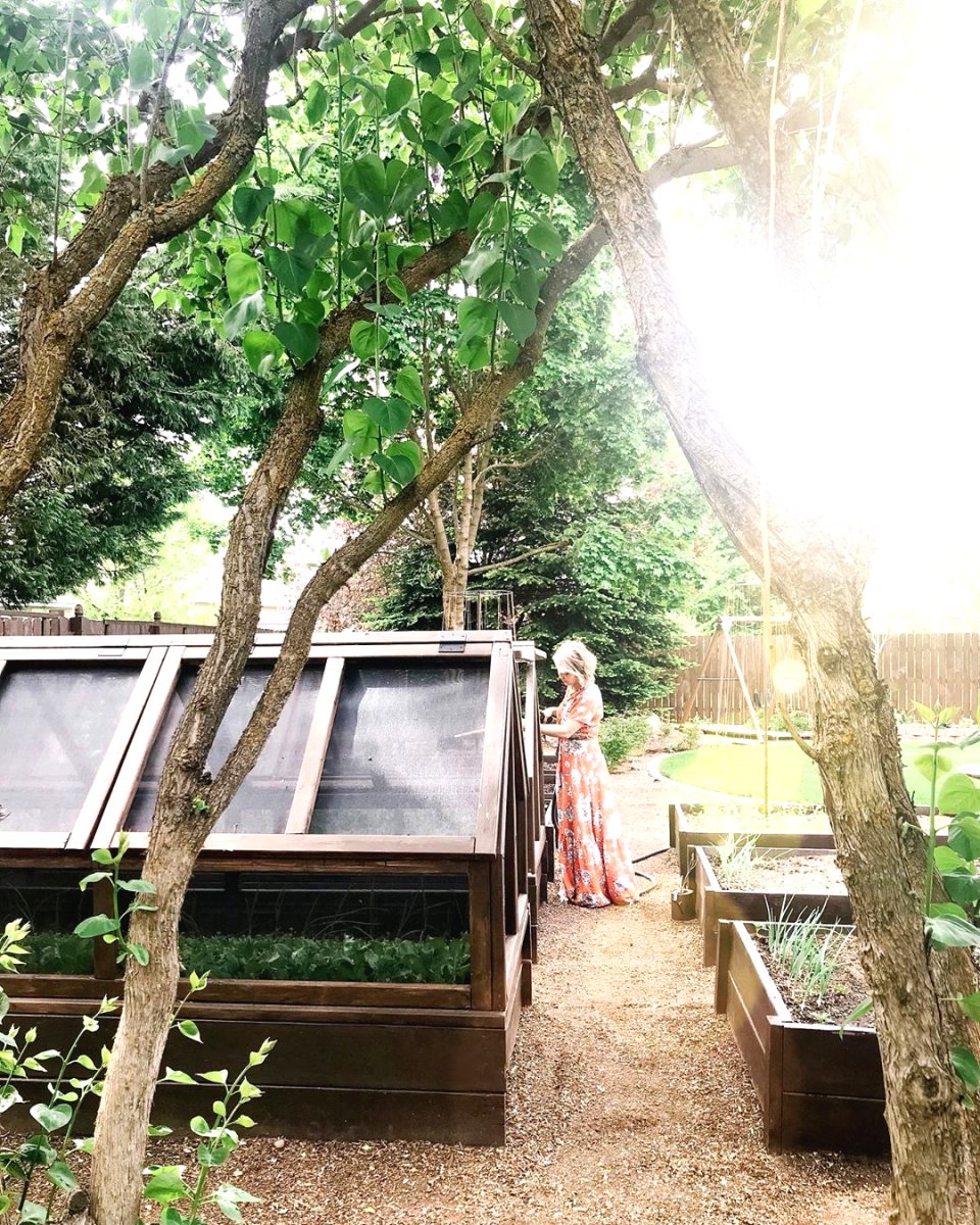 Мини теплица своими руками - фото 7