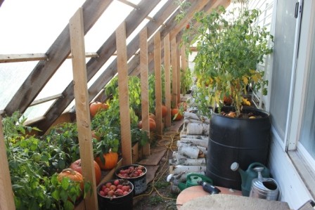 Парник - фото 18