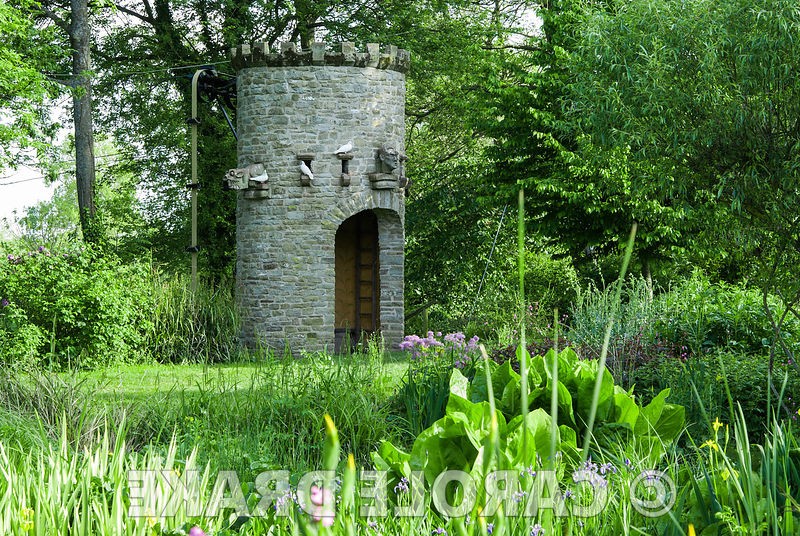 Сад в котором иглу из пустых бутылок вина - фото 13