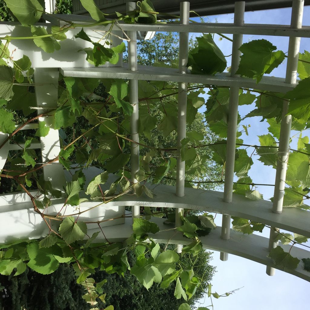 Интересное крыльцо из дерева для дома - фото 17