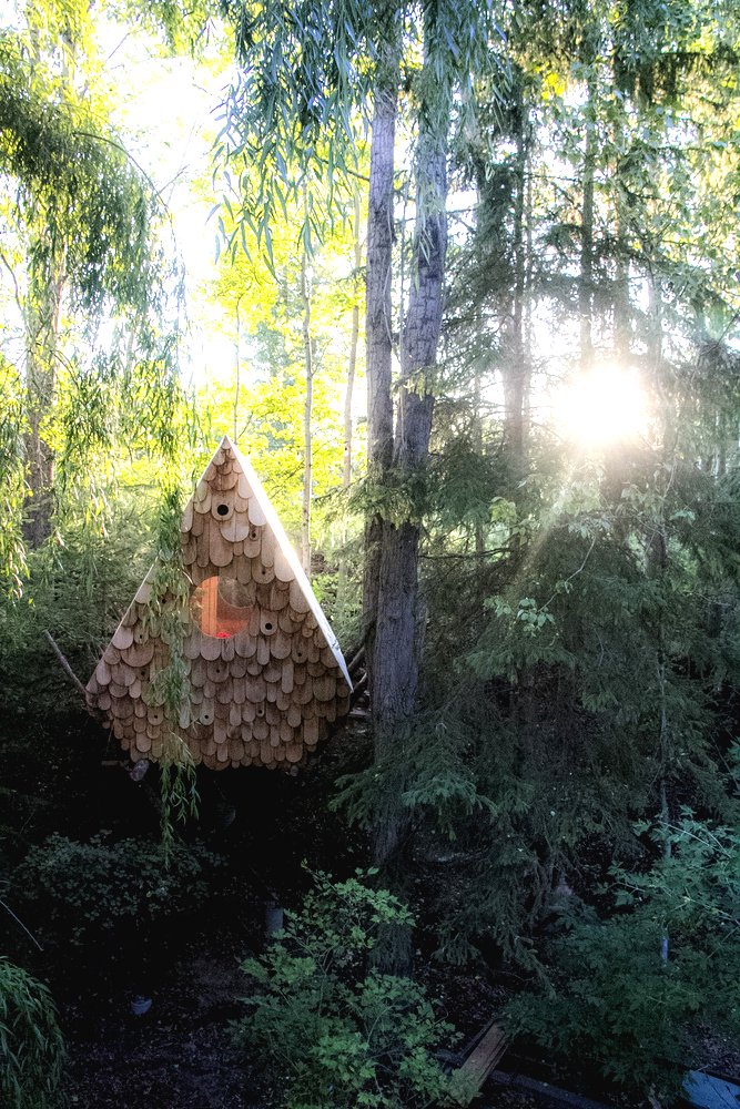 Необычный лесной домик - фото 6