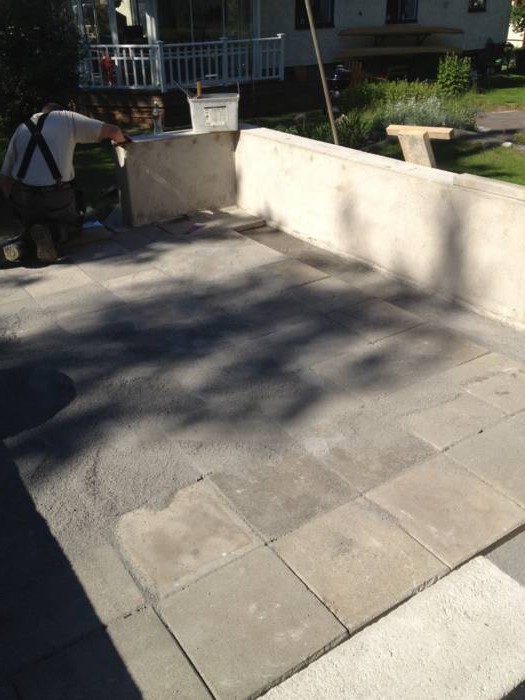 Оранжерея - фото 8