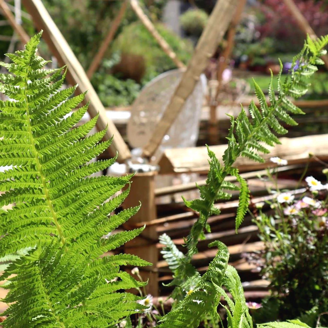 Необычное патио своими руками на даче - фото 15