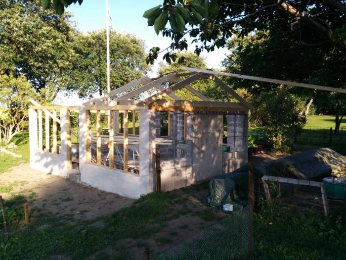 Оранжерея - фото 3