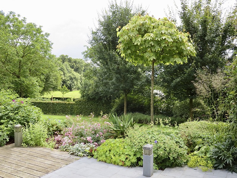 Естественный пруд - фото 7