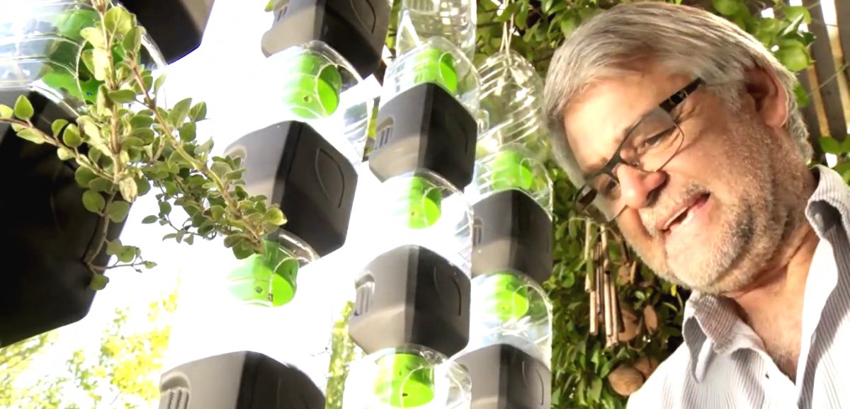 Вертикальный сад с капельным поливом из пластиковых бутылок - фото 5