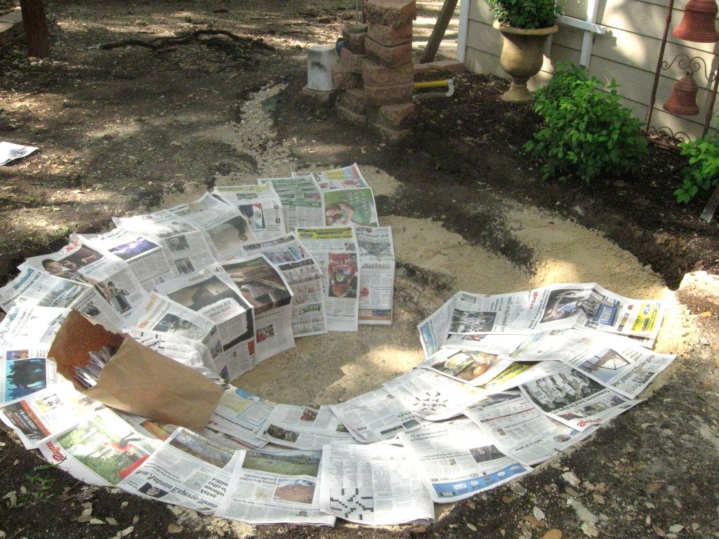 Пруд с водопадом  - фото 7