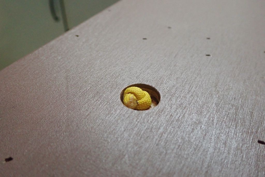 Регулируемый стол по высоте из автомобильного домкрата - фото 31