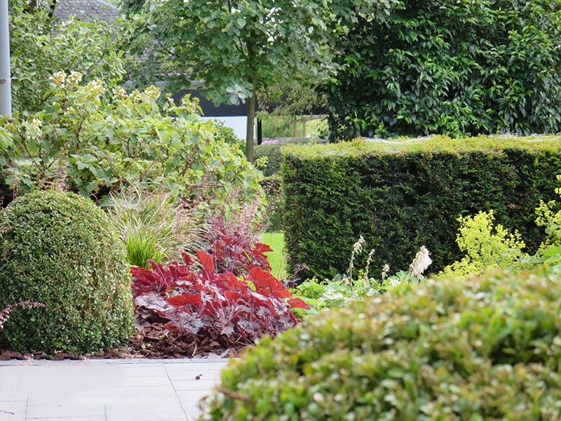 Естественный пруд - фото 13