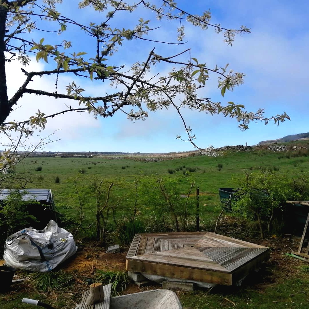 Небольшая теплица из дерева и стекла - фото 3