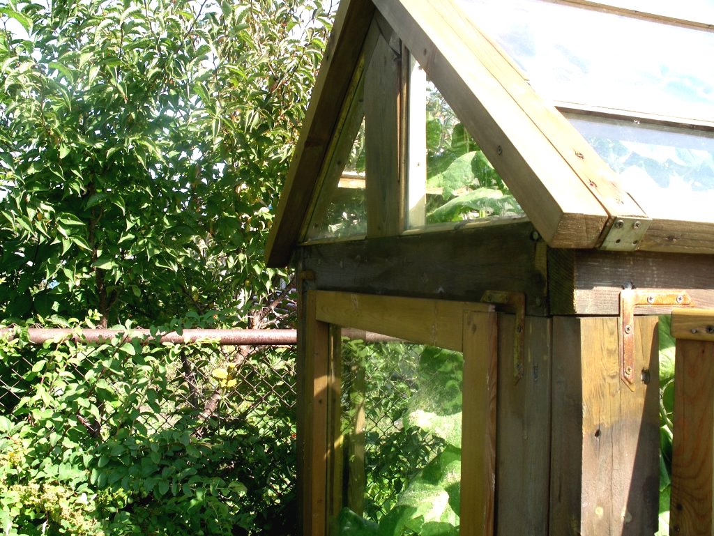 Мини теплица из старых оконных рам - фото 8