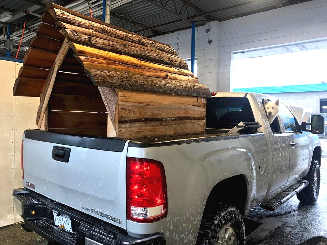 Необычные будки для собаки - фото 13