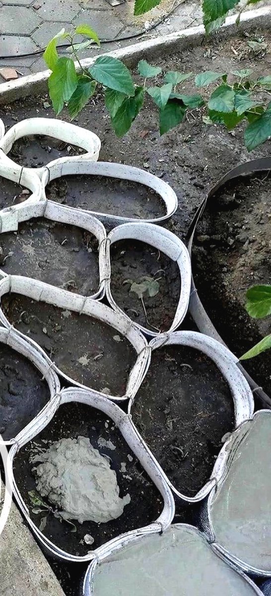 Декорируем участок вокруг стволов деревьев - фото 2