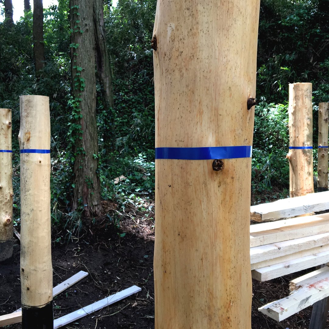 Хижина в лесу на деревянных столбах - фото 4